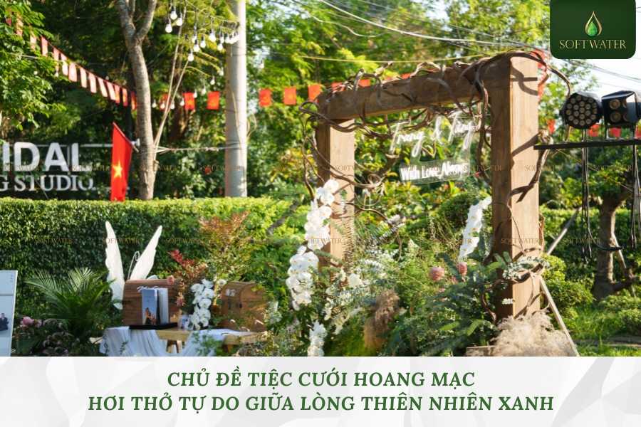 Chủ Đề Tiệc Cưới Hoang Mạc – Hơi Thở Tự Do Giữa Lòng Thiên Nhiên Xanh