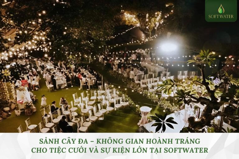 Sảnh Cây Đa – Không Gian Hoành Tráng Cho Tiệc Cưới Và Sự Kiện Lớn Tại SoftWater