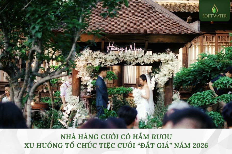 Nhà Hàng Cưới Có Hầm Rượu: Xu Hướng Tổ Chức Tiệc Cưới “Đắt Giá” Năm 2026