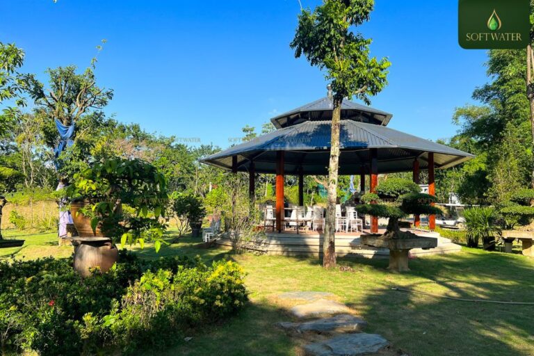 Tiệc Công Ty Phong Cách Retreat – Xu Hướng Khiến Nhân Viên Gắn Kết Bất Ngờ