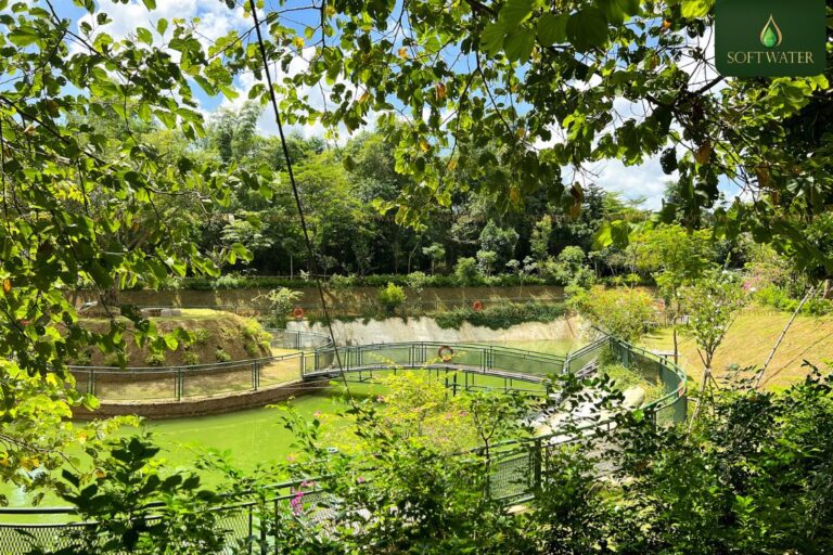 Tiệc Công Ty Phong Cách Retreat – Xu Hướng Khiến Nhân Viên Gắn Kết Bất Ngờ