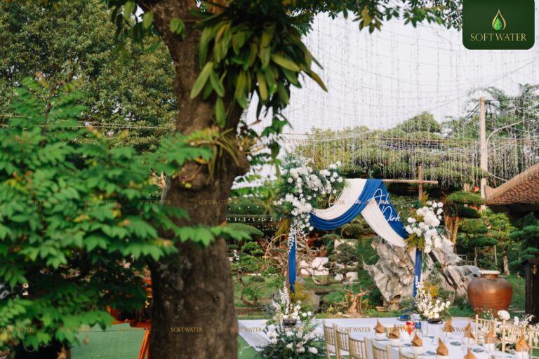 Kinh Nghiệm Tổ Chức Tiệc Cưới Ngoài Trời Phong Cách Châu Âu Không Thể Bỏ Qua